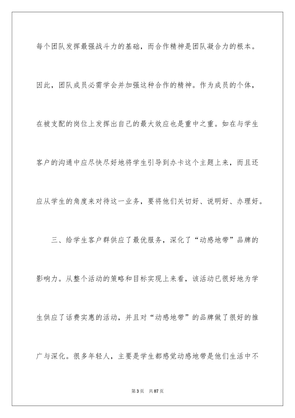 2024促销活动报告_第3页
