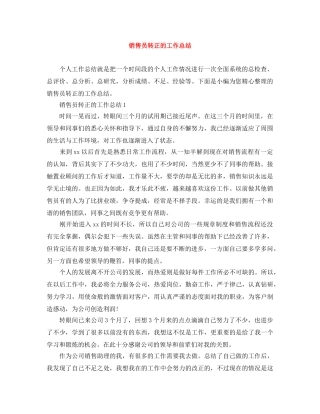 销售员转正的工作总结 