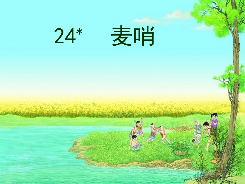 四年级语文下册第六组24麦哨（略读）课件_第1页