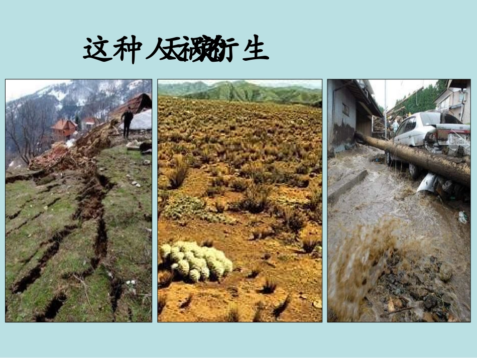 教科版思品八下第三课《做大自然的朋友》课件2_第2页