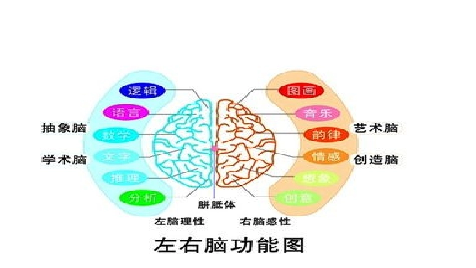 最强大脑课件_第2页