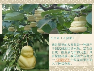 我的长生果(完美版)