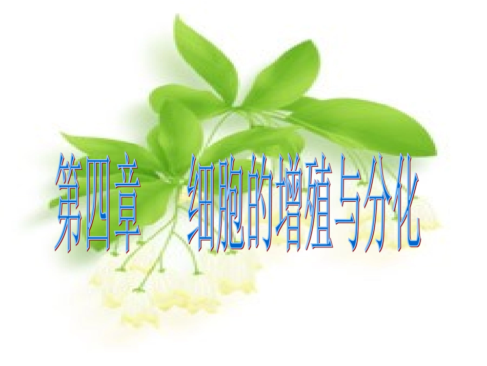 浙江省衢州一中浙科版生物必修一41细胞的增殖课件（共33张PPT）_第1页