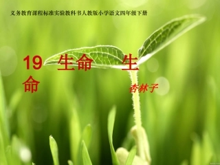 《生命生命》课件