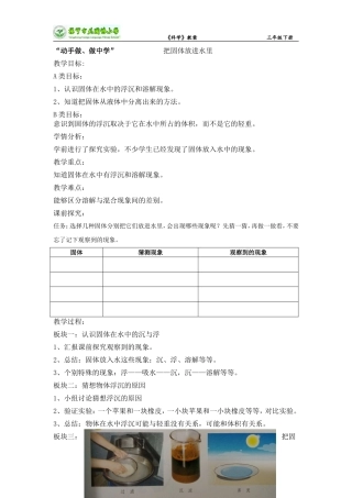 把固体放进水里 (2)
