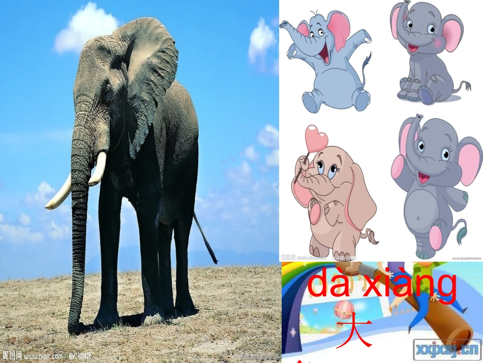 苏教版二年级下册语文识字6课件_第3页