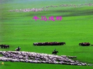 罗布泊，消逝的仙湖PPT