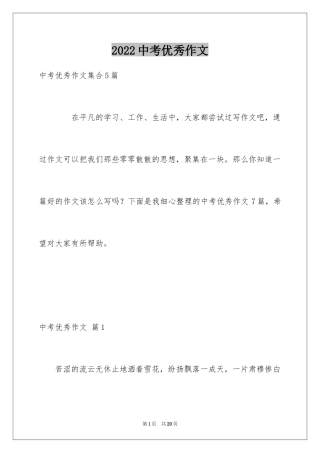 2024中考优秀作文_92