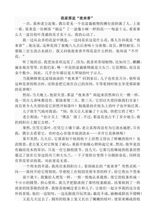 我家那盆“夜来香”