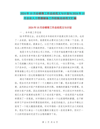 2024年10月份销售工作总结范文与计划与2024年10月企业人力资源储备工作经验总结范文汇编