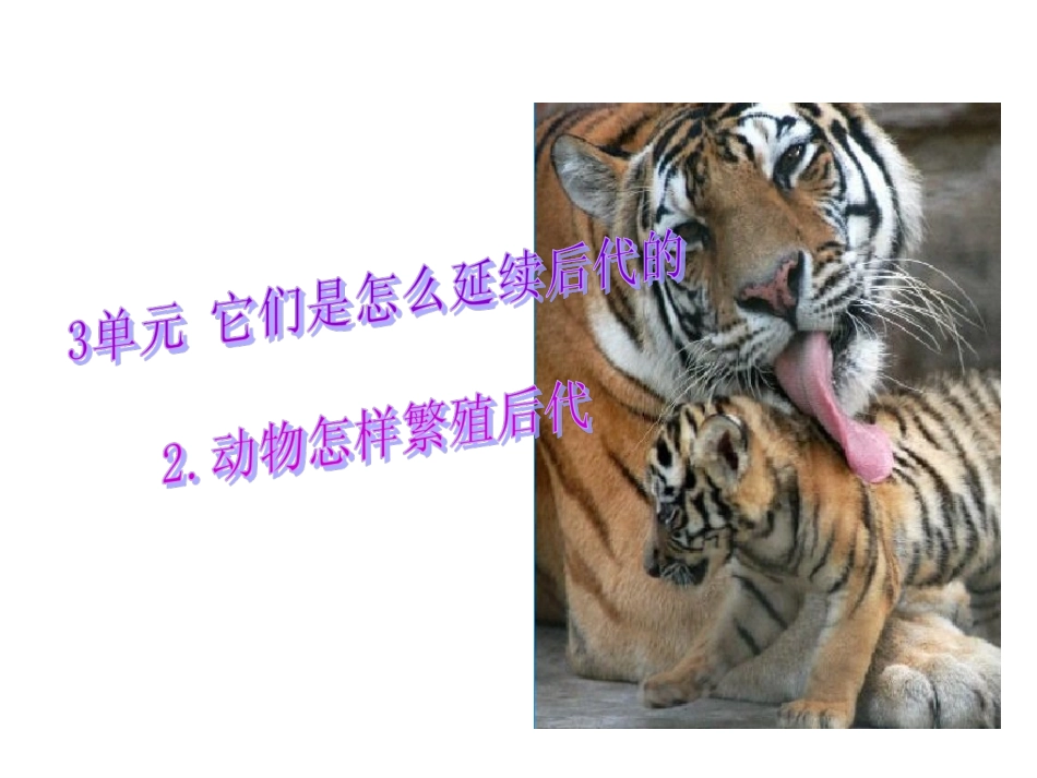 《2动物怎样繁殖后代》课件1_第1页