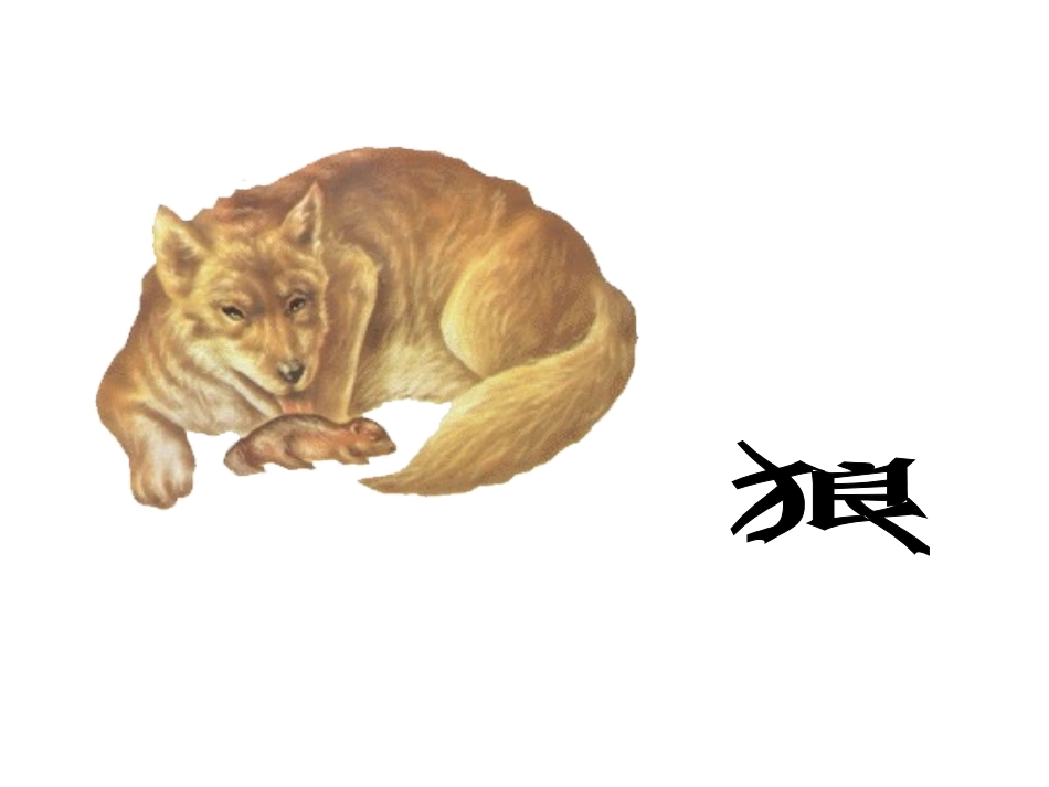 《2动物怎样繁殖后代》课件1_第3页