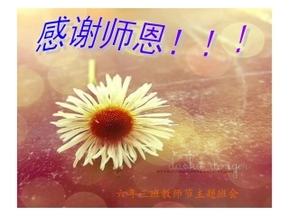 教师节班会PPT
