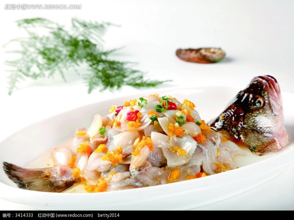 钓鱼的启示课件_第2页