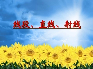 线段直线射线的认识