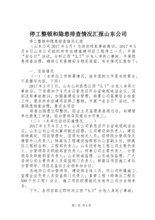 停工整顿和隐患排查情况汇报山东公司