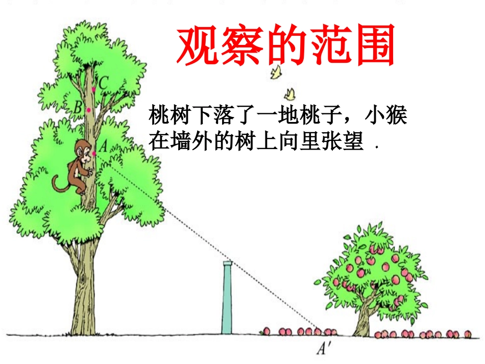 观察的范围课件_第3页