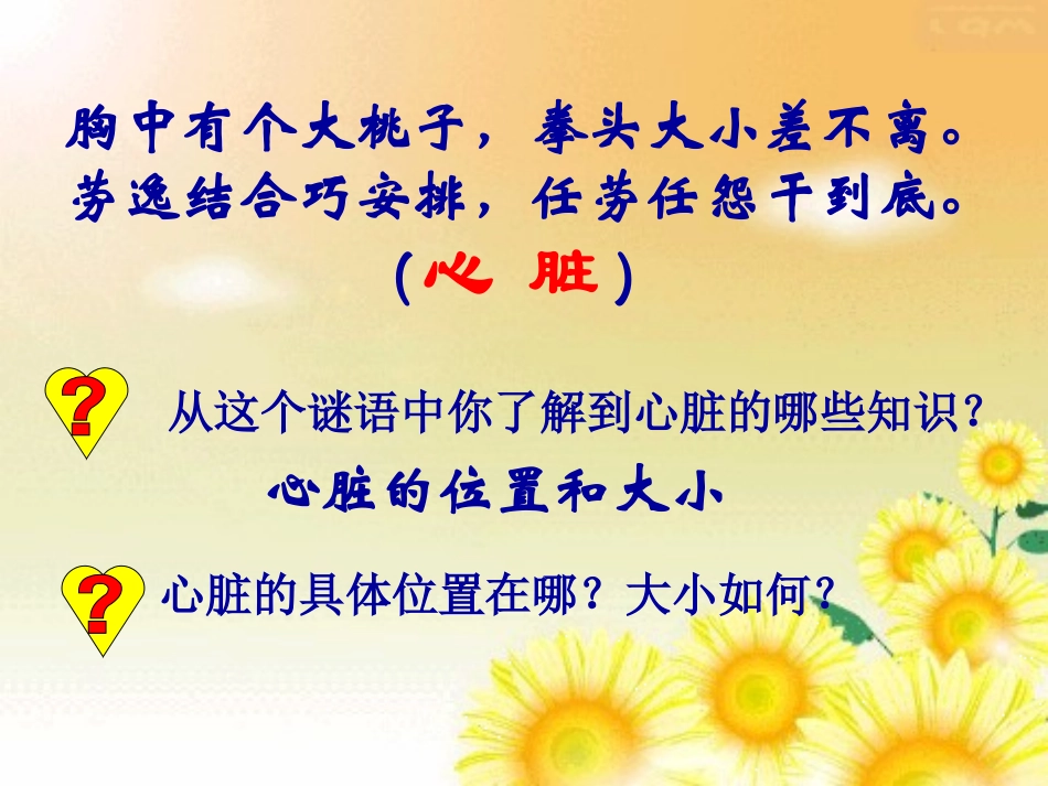 心脏的结构和功能_第2页