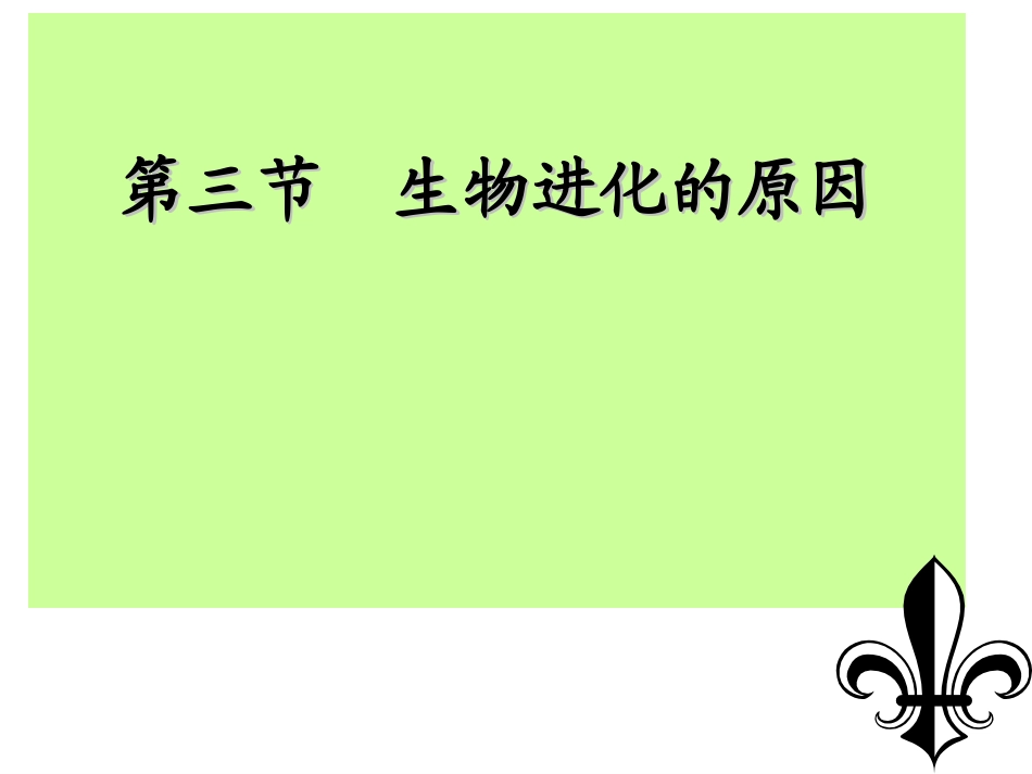 第三节生物进化的原因课件_第3页