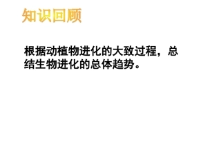 第三节生物进化的原因课件