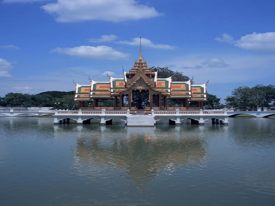 《与象共舞》_第3页