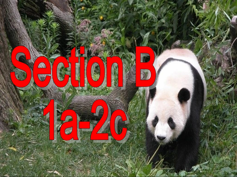 2013年春人教版英语七年级下册第五单元第三课时教学课件Section_B_1_第3页