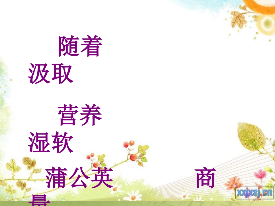 儿童诗一组课件_第3页