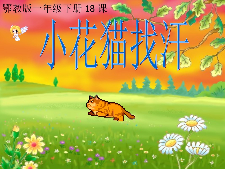 ___小花猫找汗_第1页