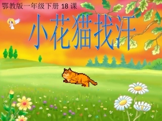 ___小花猫找汗