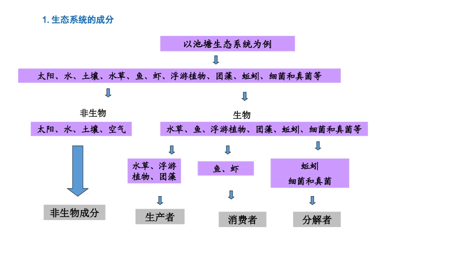 生物生态系统的组成思维导图_第1页