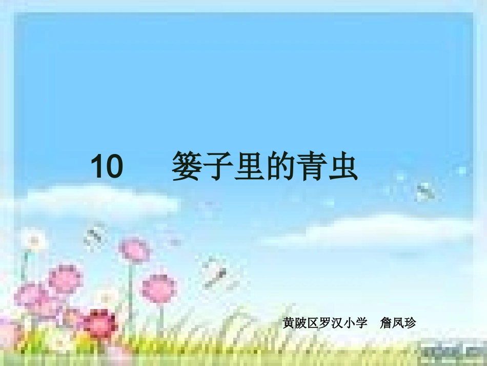 (zhfzh)篓子里的青虫_课件_第1页