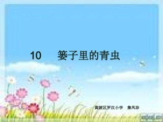(zhfzh)篓子里的青虫_课件