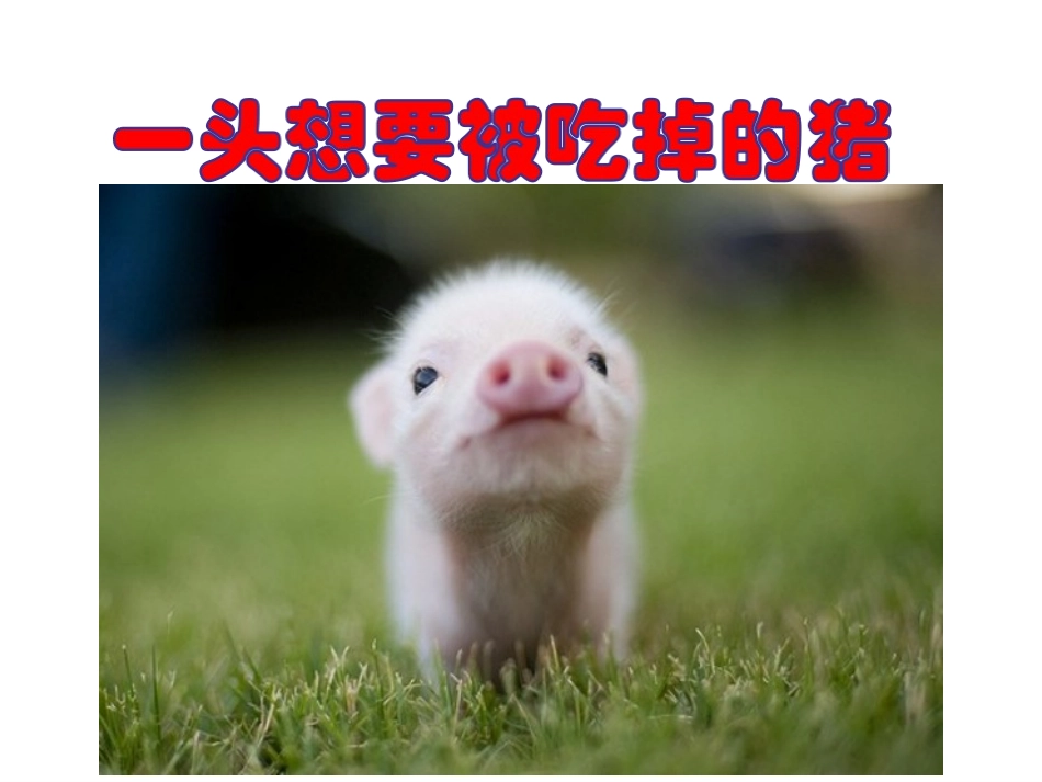一只想要被吃掉的猪（郑怡笔山大讲堂）_第1页