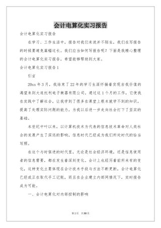 会计电算化实习报告