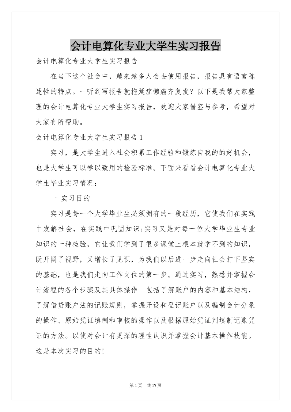 会计电算化专业大学生实习报告_第1页