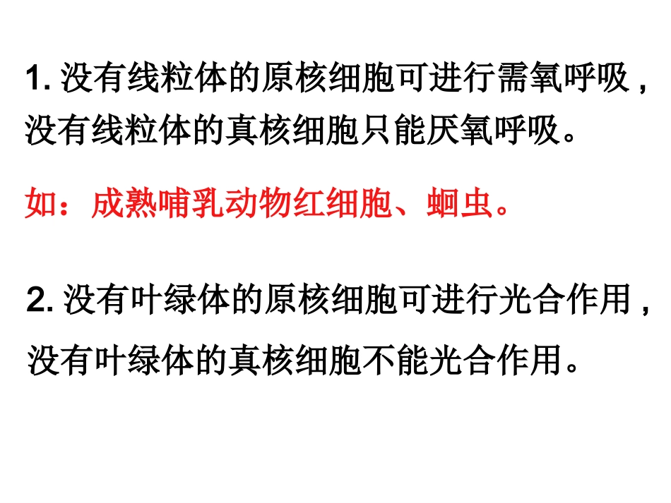 光合作用复习AAAA_第3页