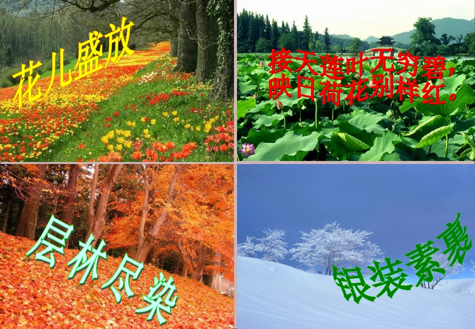 大自然的语言优秀PPT_第1页