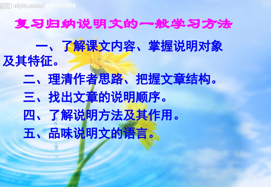 大自然的语言优秀PPT_第2页