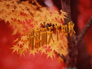 《秋天》课件