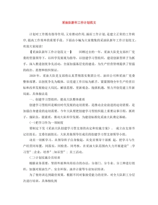 采油队新年工作计划范文 