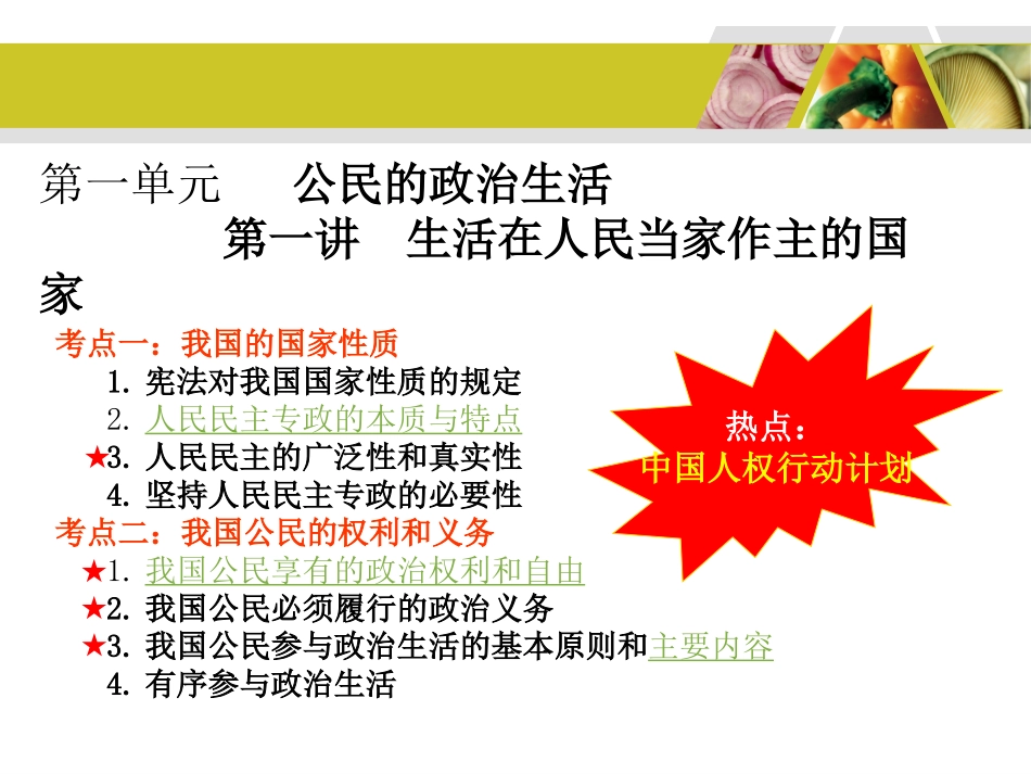 政治生活总复习_第3页