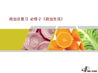 政治生活总复习