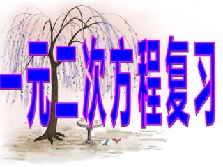 一元二次方程复习