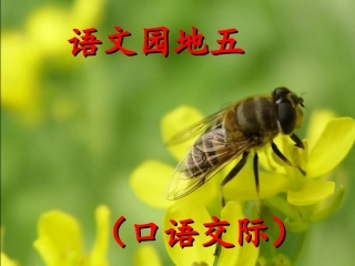 新课标人教版语文二年级下册《语文园地五(口语交际)》