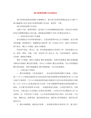 部门经理试用期工作总结范文 