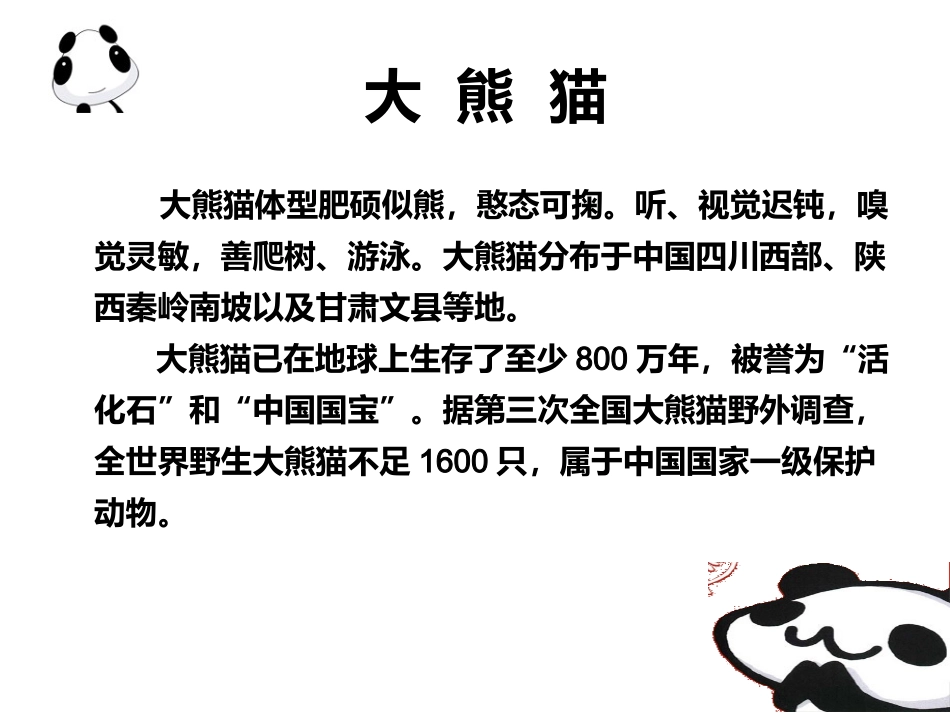 珍贵的大熊猫_第3页