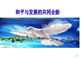 和平与发展的共同企盼