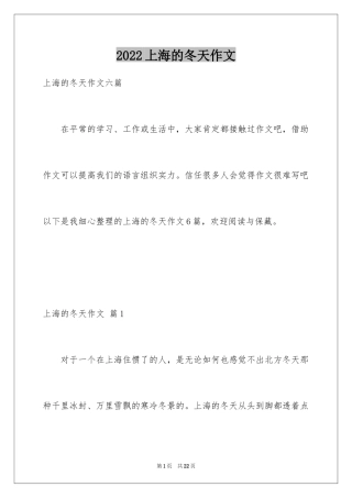 2024上海的冬天作文