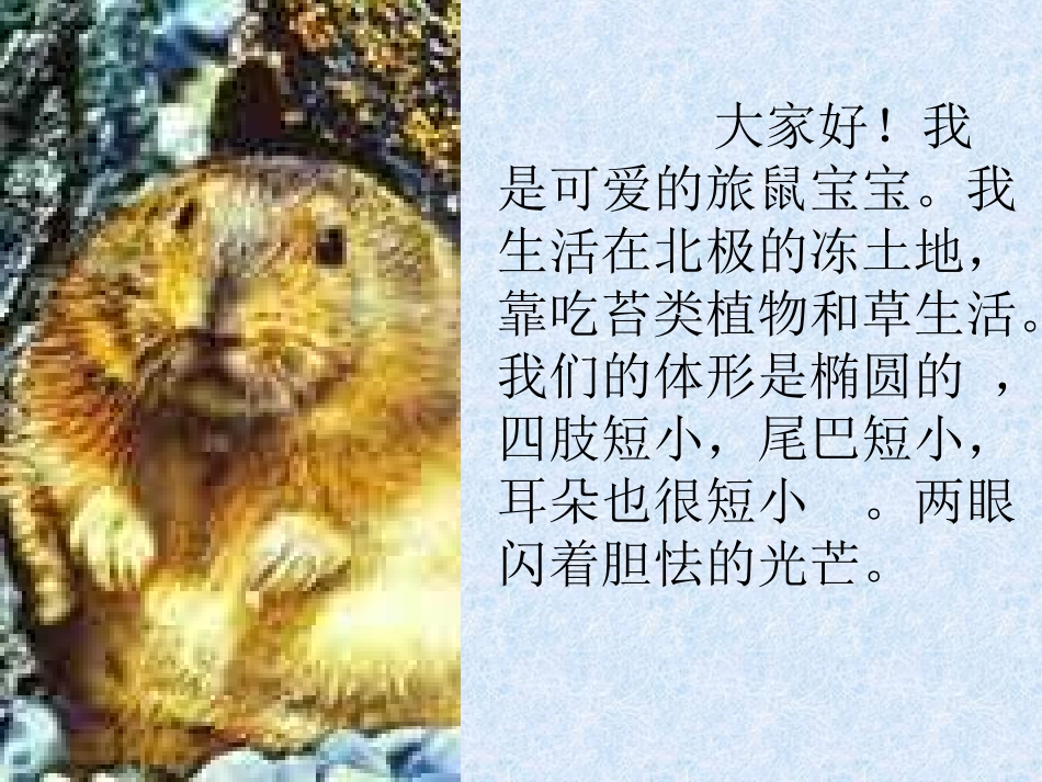 旅鼠之谜012_第3页