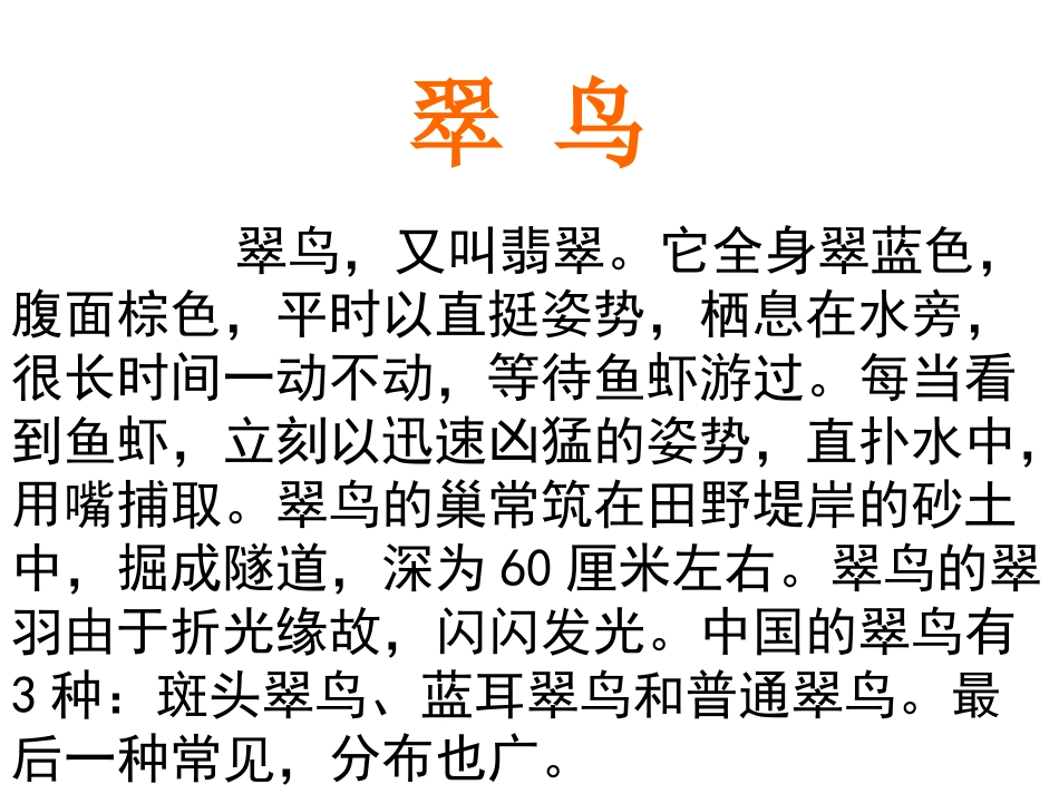 《翠鸟》 (2)_第2页